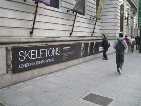 cognight_skeletons1