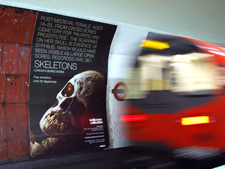 cognight_skeletons2