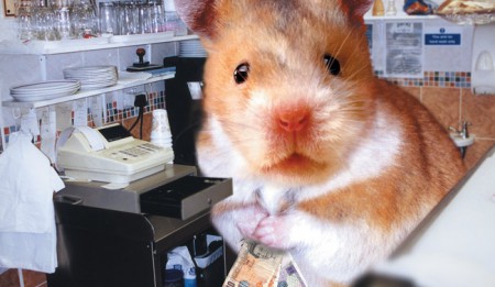 Our giant hamster rifling the till of the Selector Cafe on Deptford High Street.
