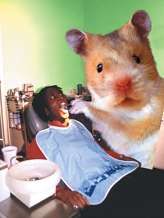 Trouble_dentist