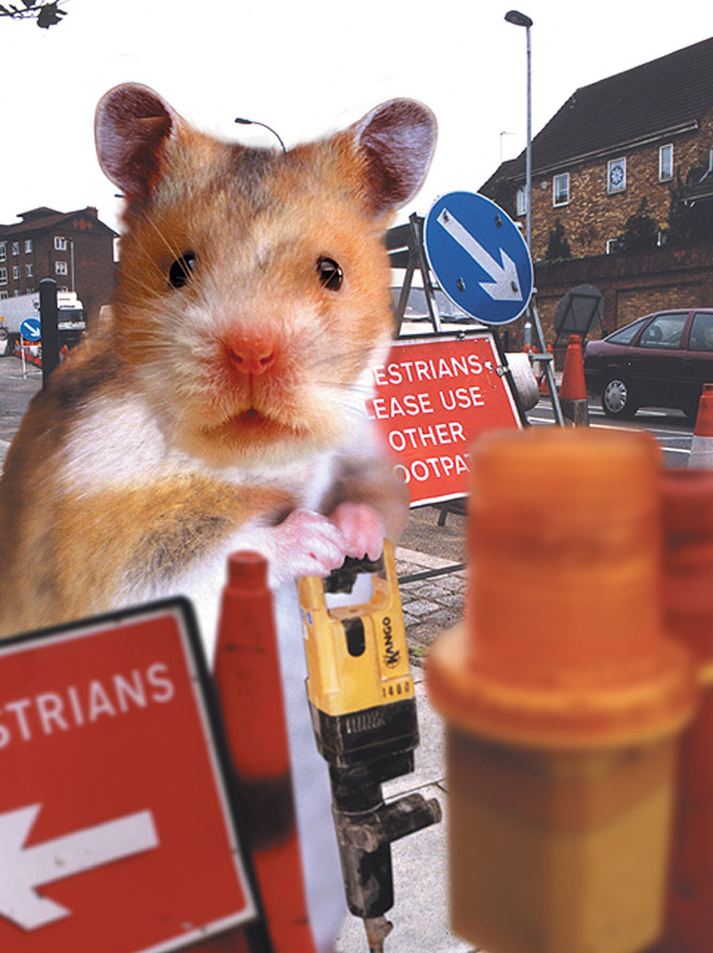 Trouble_roadworks