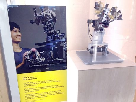 23_Feb_17_Head-of-Cog_