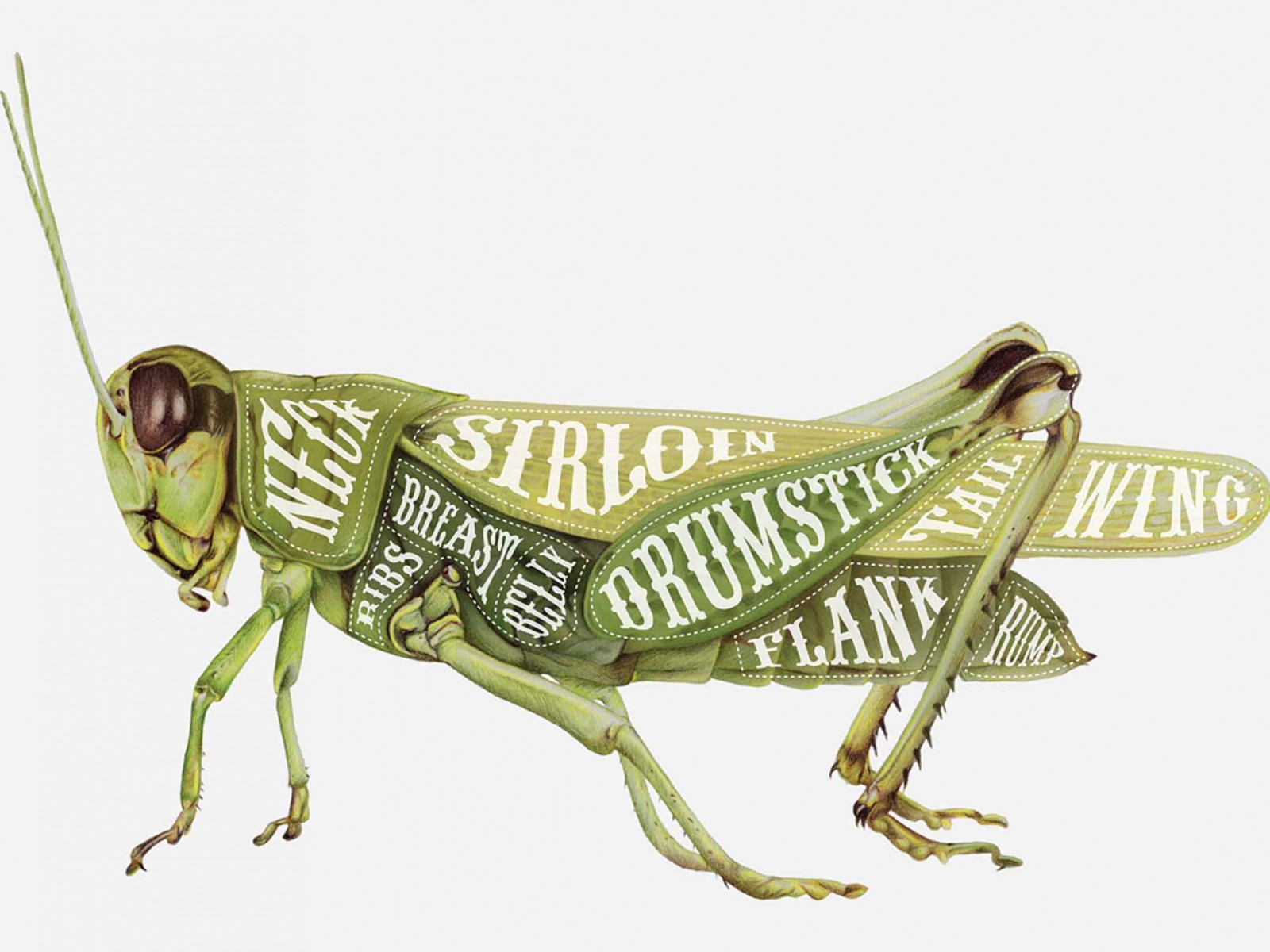 Science Gallery Fed-up