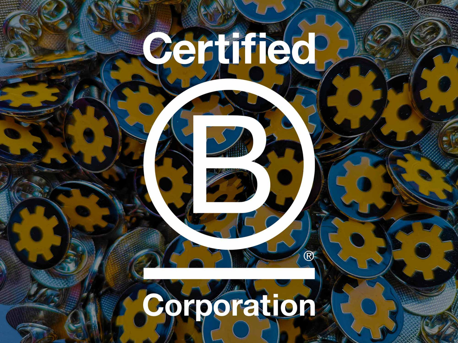 Cog is a B Corporation