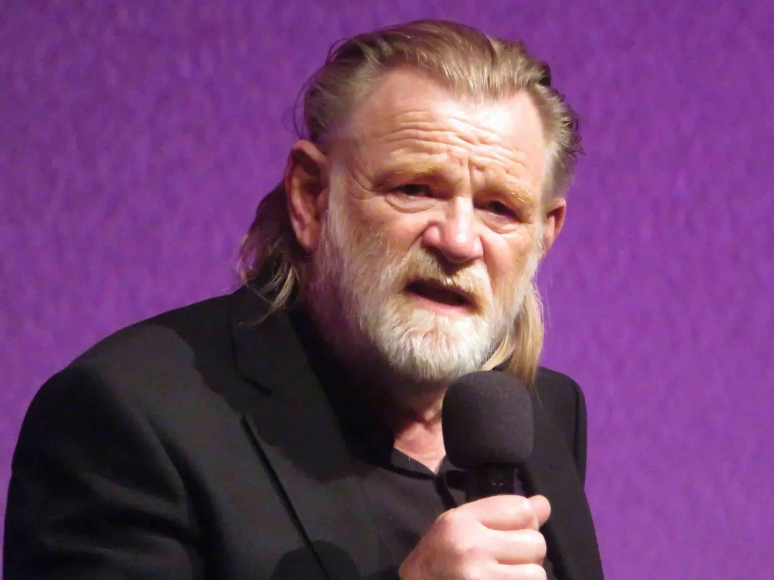 Brendan Gleeson