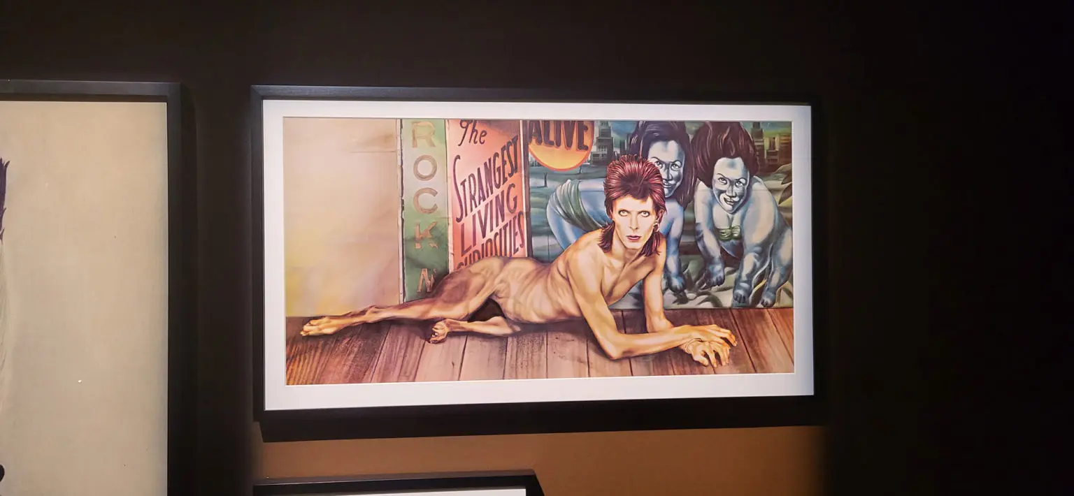 Diamond Dogs by Guy Pellaert