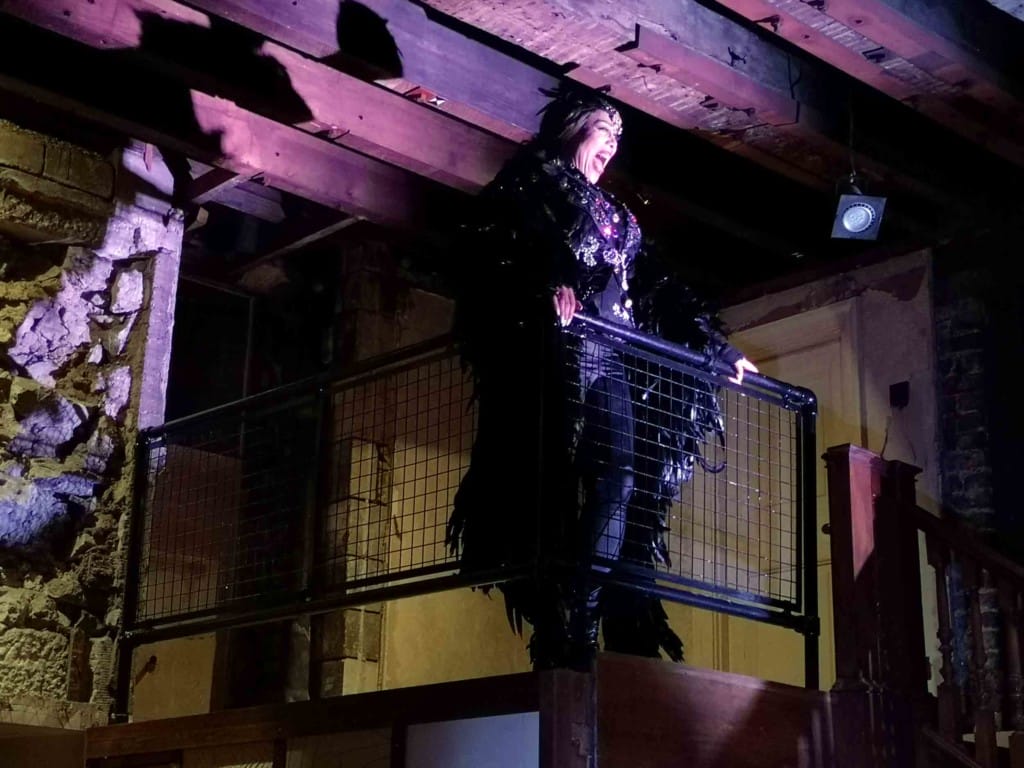 Dressed in all back with a feathery cape, a female figure stands, singing, leaning on a black wire fence. Looking up we can see the wooden ceiling beams.