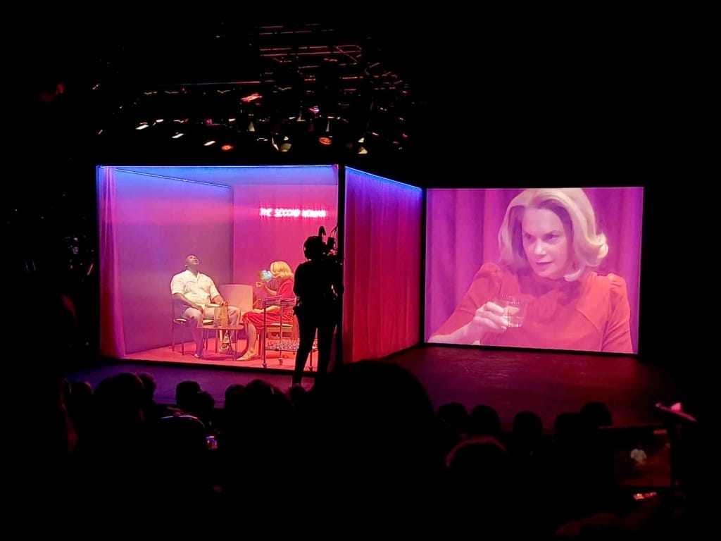 On the stage of the Young Vic, a room is constructed within a mesh cube. In it a man and woman sit facing each other. To the side a huge screen shows a close up of the woman, Ruth Wilson. 